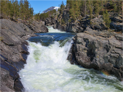 Green rapids
