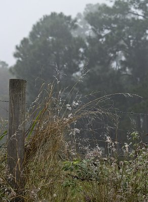 Along the line