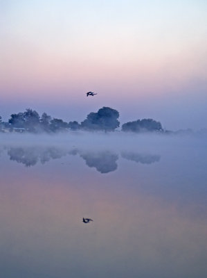 A beautiful morning