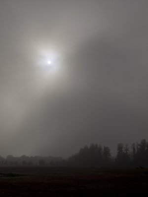 Morning mist and cloudy skies