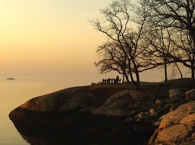 Cove Island Sunrise