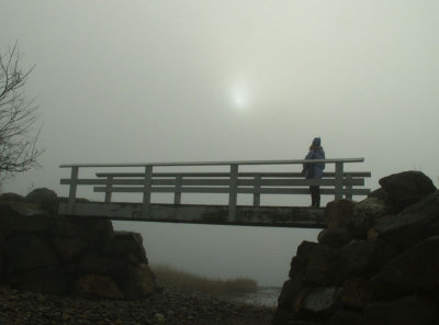 Quiet Solitude