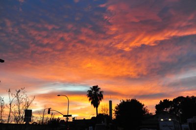80_Sunset at Pasadena.jpg