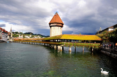49_Lucerne_under the cloudy sky.jpg