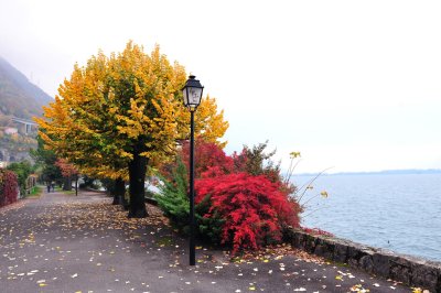 22_By Lake Geneva.jpg