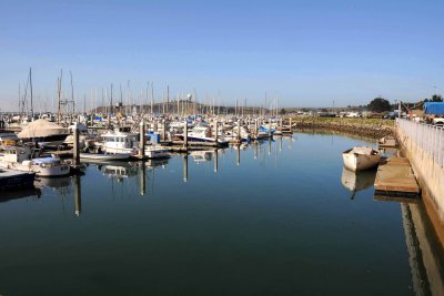 SF_BayArea_05.jpg