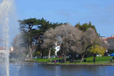 SF_BayArea_14.jpg