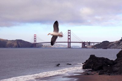 SF_BayArea_19.jpg