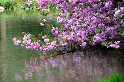 Pink and beyond
