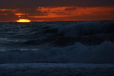 Torrey Pines 012509.JPG