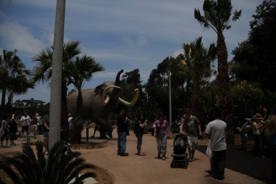 Elephant Odyssey SD Zoo.JPG