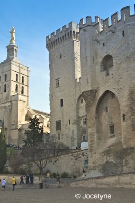 PICT2452.jpg
