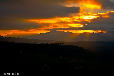 PICT5782 - Version 2.jpg