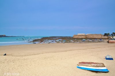 PICT6136.jpg