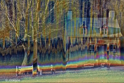 _DSC0242 A.jpg