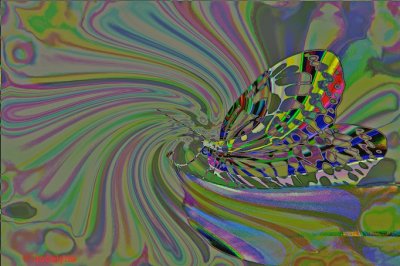 _DSC9996.jpg