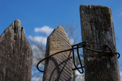 DSC_5788.jpg