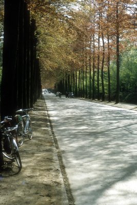 htmbelgiu1954c001.jpg
