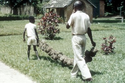 htmcongo_1955c001.jpg