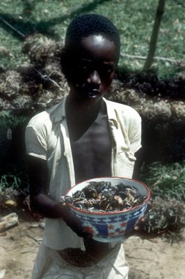 htmcongo_1955c002.jpg
