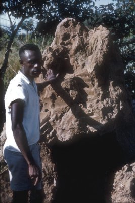 htmcongo_1955c003.jpg