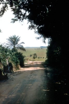 htmcongo_1955l003.jpg