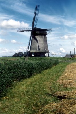 htmhollan1954l003.jpg