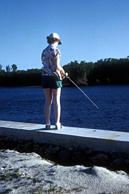 htmusafl_1952f001.jpg