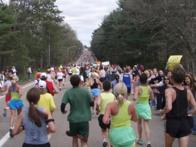 Running through Wellesley