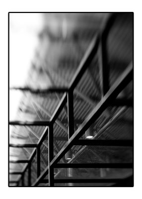 _D3C0169.jpg