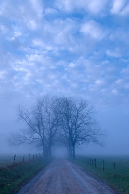 DSC_8258__2_fused_clean_w.jpg
