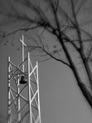 DSC_1680.jpg