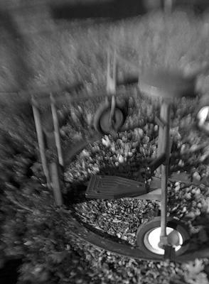 DSC_1709.jpg