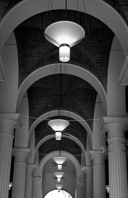 DSC_7915.jpg