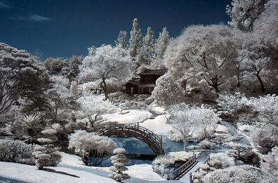 Infrared Shots while in LA