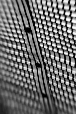 _DSC0880.jpg