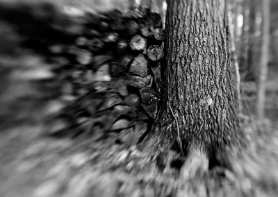 _DSC0081.jpg