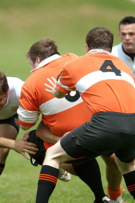 _D3C5800.jpg