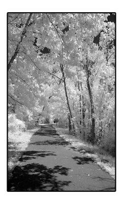 Wetlands at the Discovery Center - Murfreesboro, TN - May '08