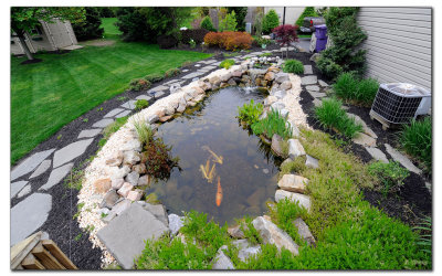 Koi Pond in early spring