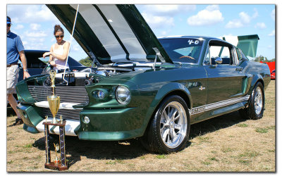 Mustang3.jpg