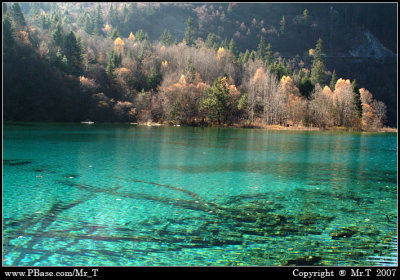 Crop_DSCF3826.jpg
