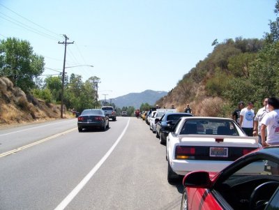 threeroe420 100_2115.jpg