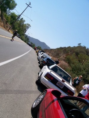threeroe420 100_2116.jpg