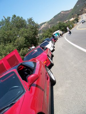 threeroe420 100_2117.jpg