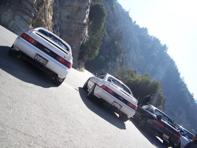drftxdori 102_2365.jpg