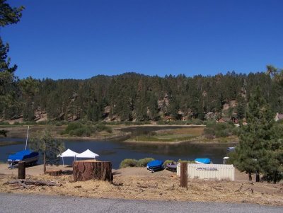 drftxdori 102_2366.jpg