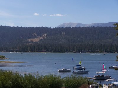 drftxdori 102_2369.jpg