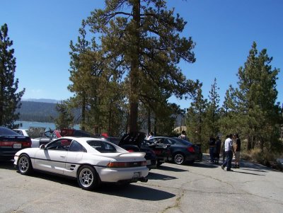 drftxdori 102_2374.jpg