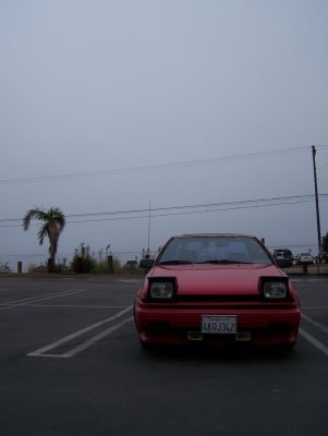drftxdori 100_4032.jpg
